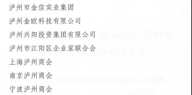 江陽區(qū)表彰2019年度瀘州市江陽區(qū)招商引資工作先進(jìn)集體和先進(jìn)個(gè)人(圖3)