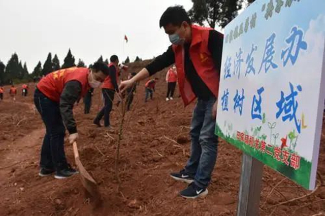 目標(biāo)定了！今年，內(nèi)江市人均兩人義務(wù)栽一棵樹(圖4)