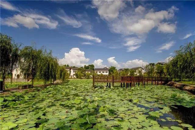 陽光明媚好踏春！內(nèi)江這些地方有花有景有美食(圖1)