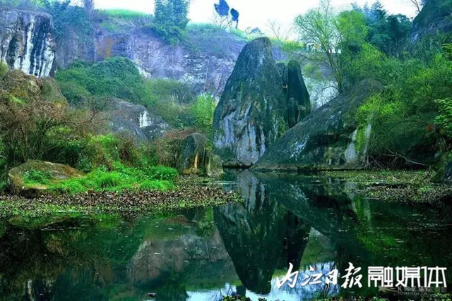 陽光明媚好踏春！內(nèi)江這些地方有花有景有美食(圖23)
