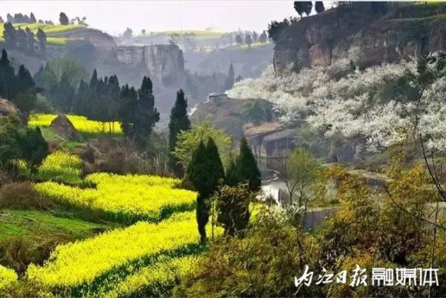 陽光明媚好踏春！內(nèi)江這些地方有花有景有美食(圖24)
