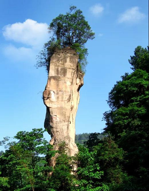陽光明媚好踏春！內(nèi)江這些地方有花有景有美食(圖47)