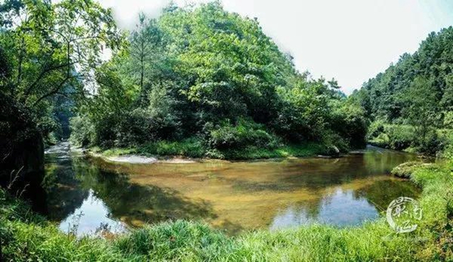 陽光明媚好踏春！內(nèi)江這些地方有花有景有美食(圖48)