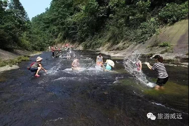 陽光明媚好踏春！內(nèi)江這些地方有花有景有美食(圖49)