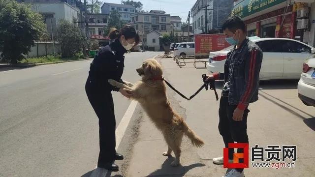 可愛的它找到新家了！但自貢牛佛派出所的民警卻哭了……(圖2)