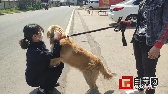 可愛的它找到新家了！但自貢牛佛派出所的民警卻哭了……(圖3)