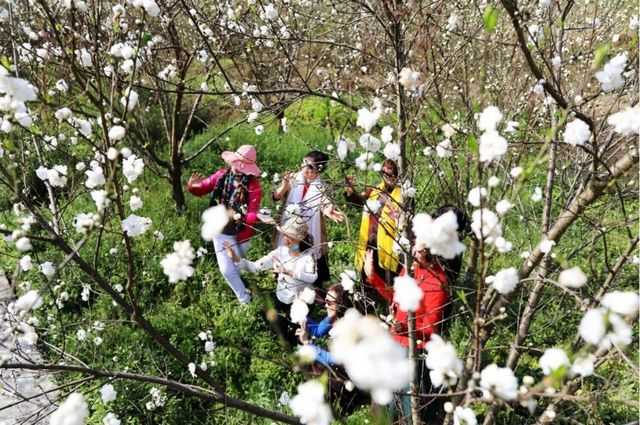 瀘州的春天，原來是這樣……(圖8)