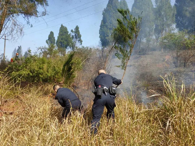 氣溫急升！一天內(nèi)兩場山火，為內(nèi)江防火拉響警報！(圖2)