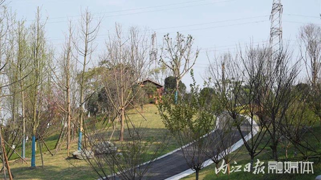 總投資60億！內(nèi)江這一重大項目將造福全市人民(圖3)