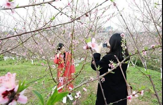 樂(lè)游龍馬潭，周末去這些地方就對(duì)了！(圖12)