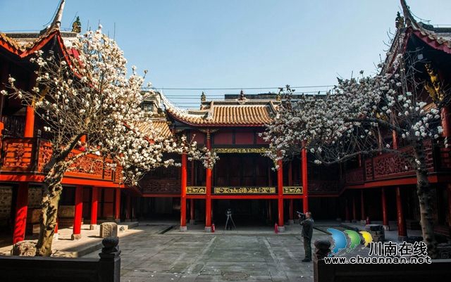 四川112家景區(qū)4月免門(mén)票了！瀘州有3處(圖3)