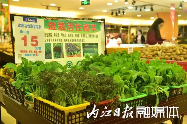 盆盆栽菜，內(nèi)江人喜愛(圖2)
