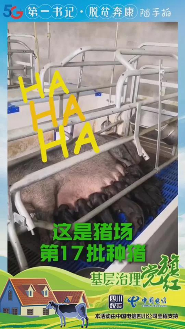 火了！內江出了位“豬肉西施”(圖3)