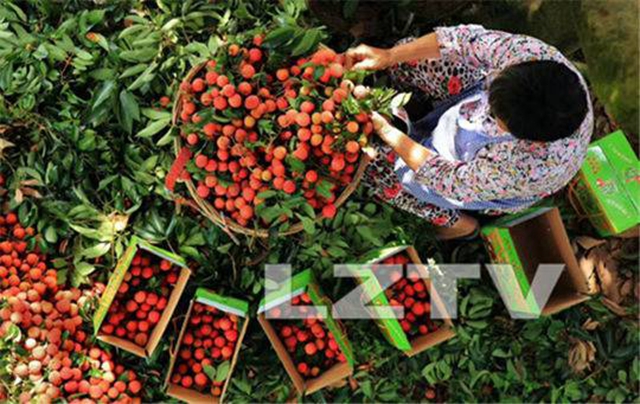 扶貧助農(nóng) 產(chǎn)品特賣(mài)……瀘州本土電商平臺(tái)正式上線(圖3)