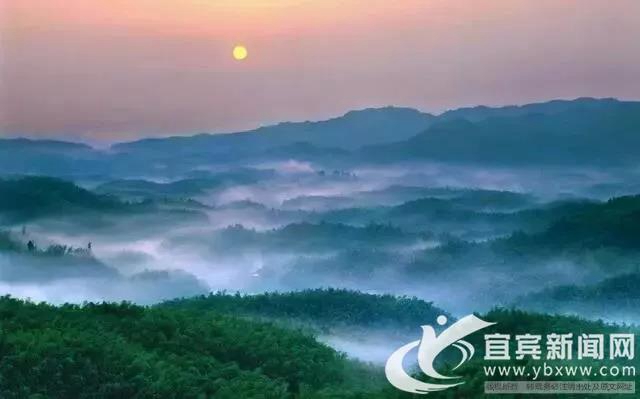 @宜賓援鄂醫(yī)療隊 您的專屬福利來了！請查收！(圖5)