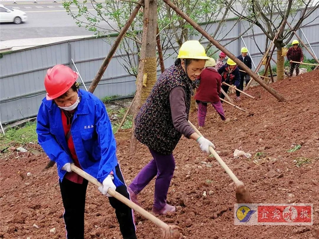 宜賓這個(gè)超大森林公園下月完工！風(fēng)景獨(dú)特功能豐富，有望成為長江封面