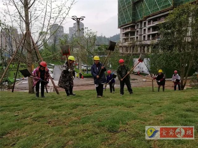 宜賓這個(gè)超大森林公園下月完工！風(fēng)景獨(dú)特功能豐富，有望成為長(zhǎng)江封面(圖3)
