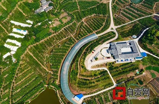 自貢首批6家市級(jí)科普基地授牌，它們可以做些啥？(圖6)