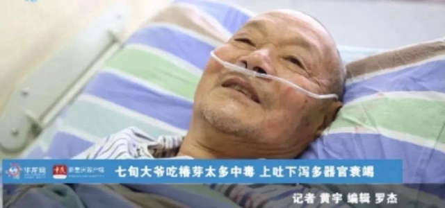 【圍觀】香椿炒雞蛋會中毒？(圖1)