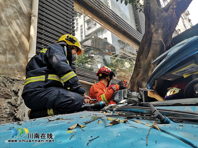 ???視頻||垃圾車失控撞樹副駕駛員被困 瀘州消防緊急救援