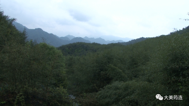 宜賓一男子返鄉(xiāng)創(chuàng)業(yè)，1年就收入近100萬(wàn)！竟賣(mài)這種東西……(圖13)