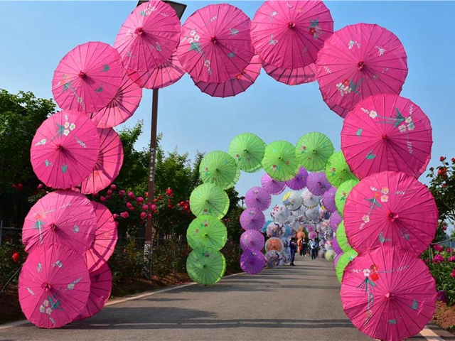 約起！內(nèi)江城邊邊的300畝玫瑰花海藏不住了(圖5)