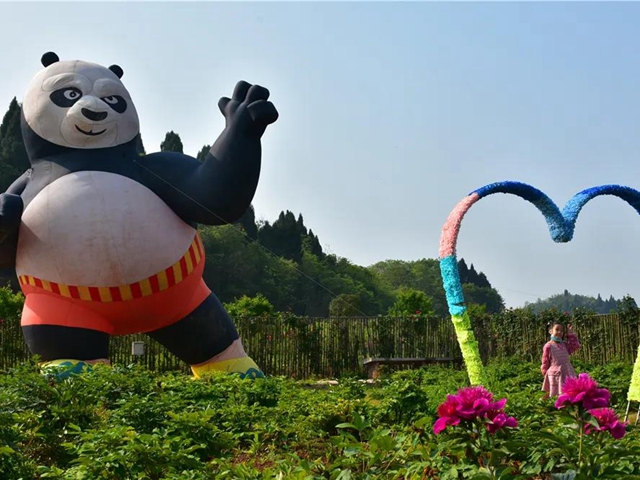 約起！內(nèi)江城邊邊的300畝玫瑰花海藏不住了(圖6)