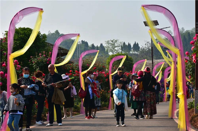 約起！內(nèi)江城邊邊的300畝玫瑰花海藏不住了(圖9)