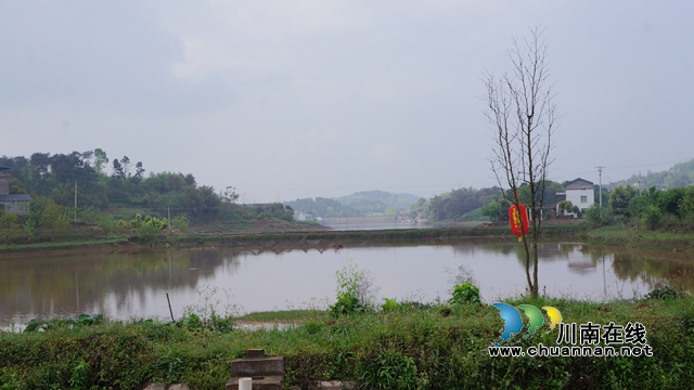 瀘縣立石鎮(zhèn)殘疾人李世興：魚兒鋪就致富路 創(chuàng)業(yè)四年還清貸款20萬