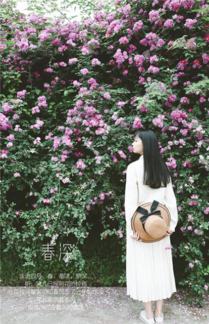 江陽薔薇開了！來一套田園寫真集不香嗎？(圖10)