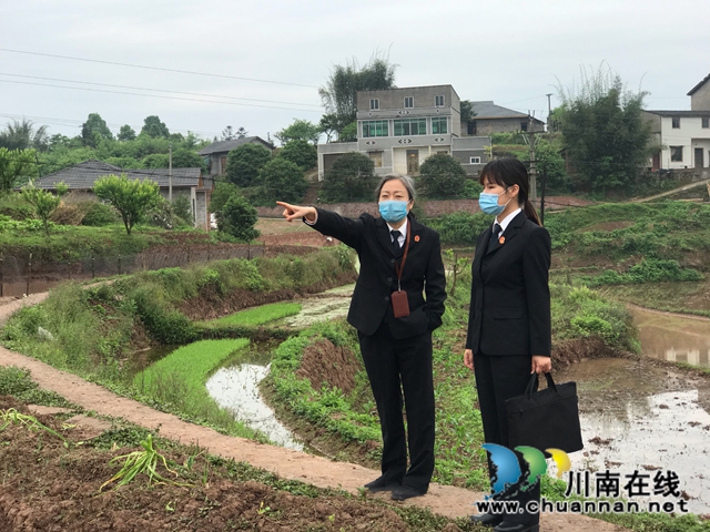看家狗咬傷人 看法官怎么斷？(圖4)