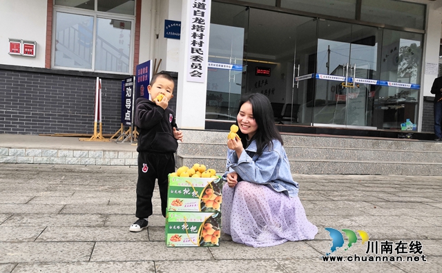 約起來！瀘縣白龍塔村千畝枇杷熟了！(圖12)