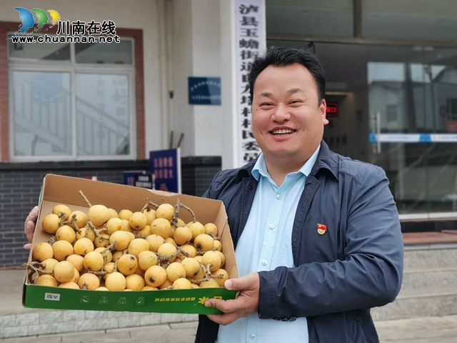 約起來！瀘縣白龍塔村千畝枇杷熟了！(圖10)