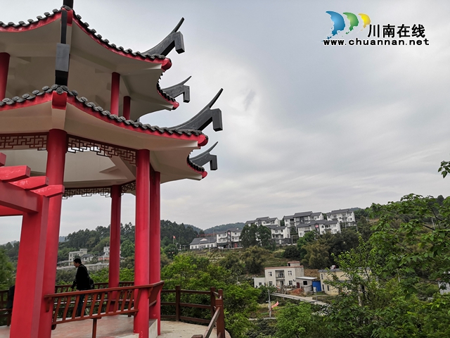 買枇杷、吃“跑山雞"、耍農(nóng)家樂…瀘縣白龍塔村聯(lián)系電話來了！(圖10)
