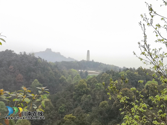 買枇杷、吃“跑山雞"、耍農(nóng)家樂…瀘縣白龍塔村聯(lián)系電話來了！(圖2)