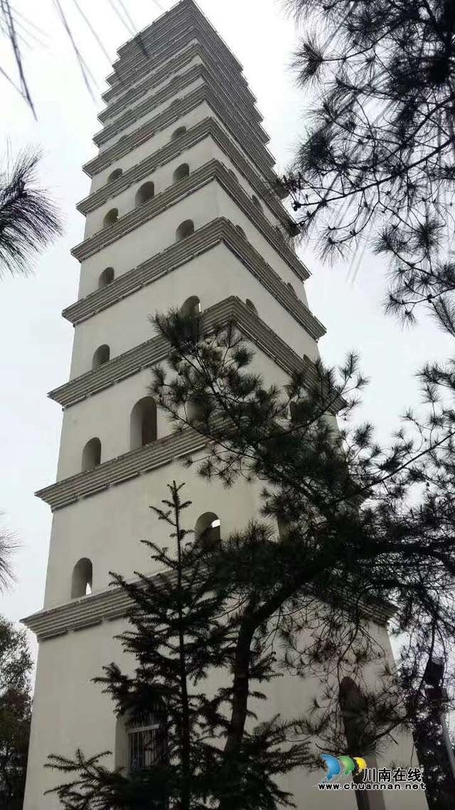 買枇杷、吃“跑山雞"、耍農(nóng)家樂…瀘縣白龍塔村聯(lián)系電話來了！(圖3)