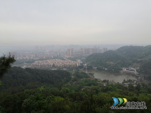 買枇杷、吃“跑山雞"、耍農(nóng)家樂…瀘縣白龍塔村聯(lián)系電話來了！(圖11)