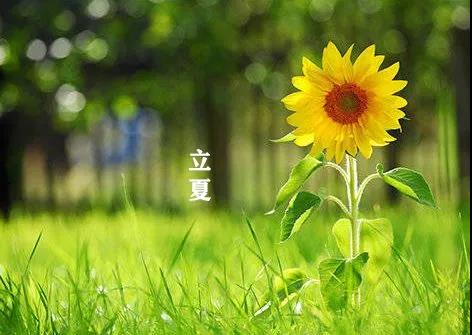 【今日立夏】今天開始，要小心哦！(圖8)