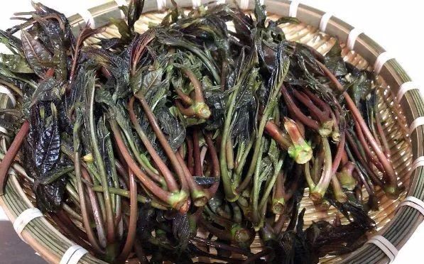 【分享】不焯水不能吃的四種菜，你都知道嗎？(圖3)