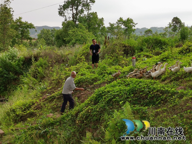 瀘縣玉蟾街道扎實(shí)開展河長(zhǎng)制工作(圖3)