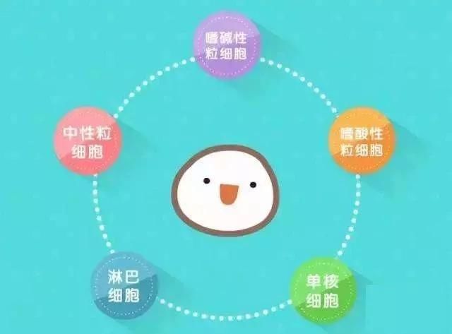 【關(guān)注】血常規(guī)可以查出這些??？(圖7)