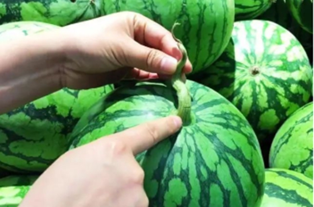 【分享】西瓜要挑“母”的？這樣挑個(gè)個(gè)香甜可口！