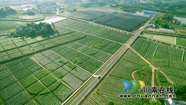 瀘州董允壩、中國(guó)沈酒莊晉升為國(guó)家4A級(jí)旅游景區(qū)(圖1)