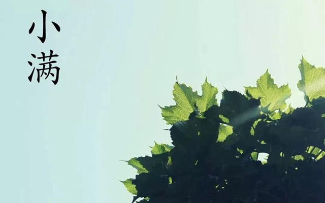 【警惕】今天起，這三類東西一定要忌嘴？(圖3)