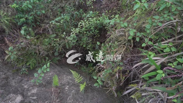 驚呆了！千年前，內(nèi)江這里就有一條川南通成都的“高速路”(圖10)