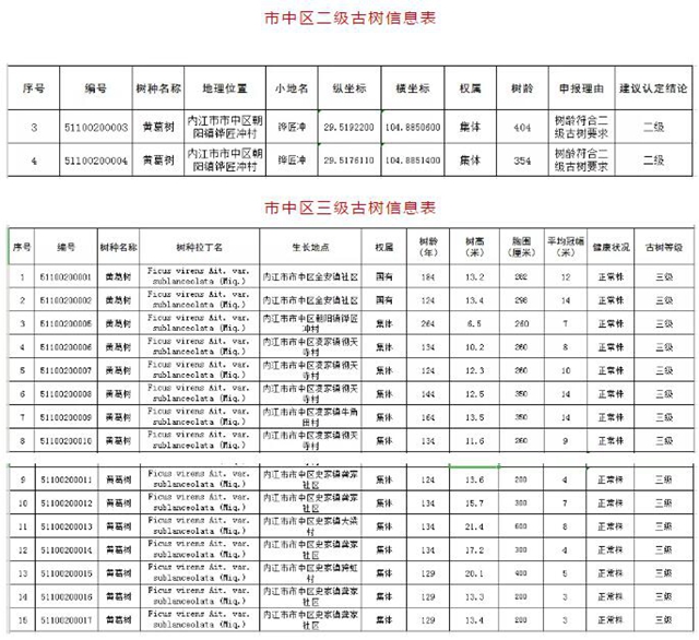 圍觀！內(nèi)江這些“老古董”有了“身份證”(圖9)