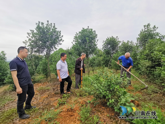 瀘縣毗盧鎮(zhèn)：產業(yè)周轉金“轉”出貧困戶的幸福生活