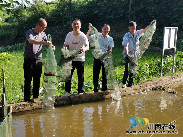 瀘縣：駐村工作5年，林樹倫成為最美石橋人(圖5)