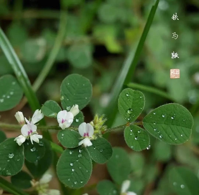 【關(guān)注】一碗湯下肚，70歲大爺昏迷入院？(圖10)