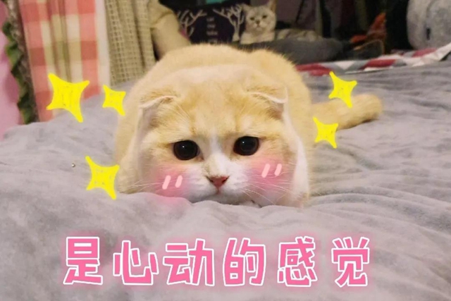 【速轉(zhuǎn)】抖音上推薦的美白牙膏全是騙局？美白的真相是……(圖10)